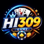 Hi309 game app logo