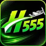 H555 Game